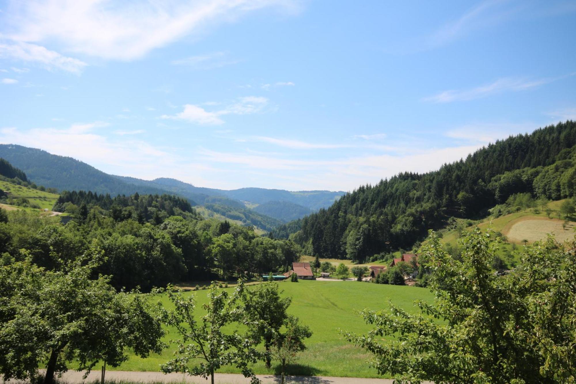 Kasimir Hof Villa Seebach Luaran gambar